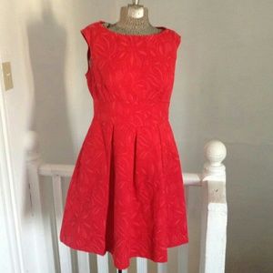 Adrianna Papell Red Dress. Valentines day. Date night.